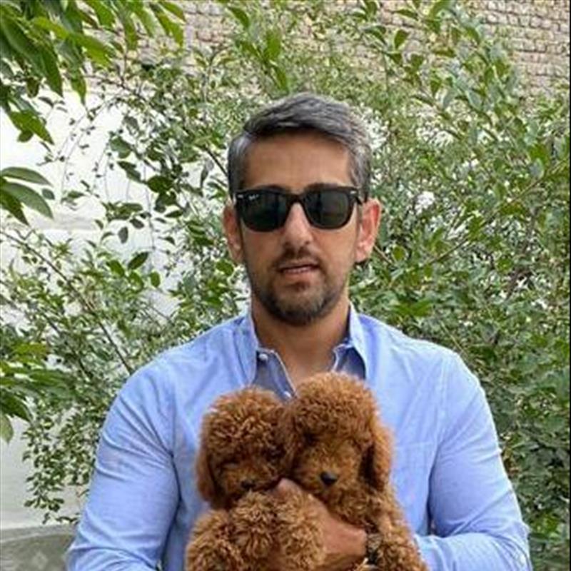 فروش توله ی پودل سایز ریز رنگ رد 