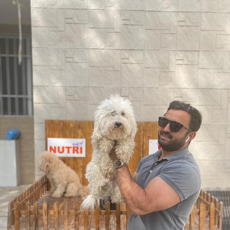 فروش توله های مینیاتور پودل