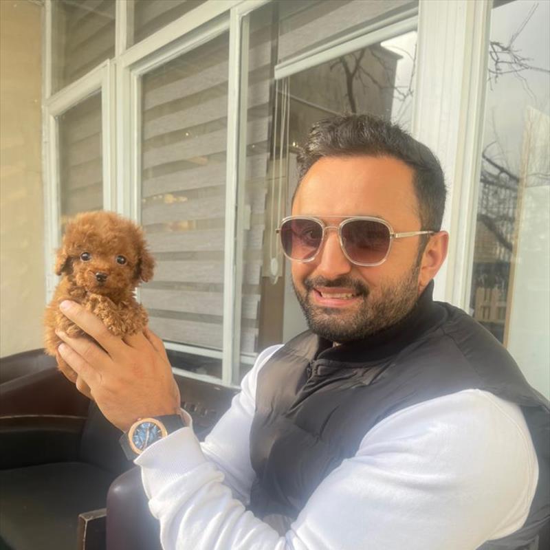 فروش توله ی توی پودل سایز صفر