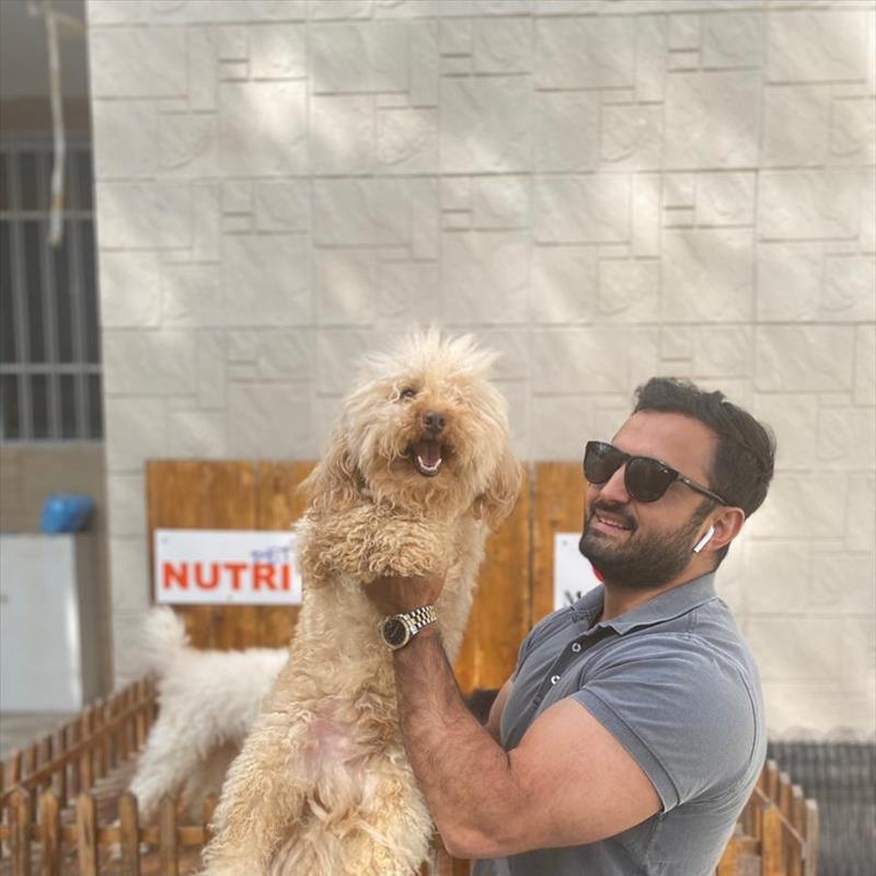 فروش توله های مینیاتور پودل