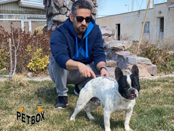 فروش فرنچ بولداگ