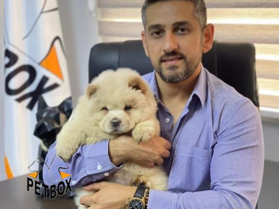 فروش توله ی چاوچاو صورت چروک 