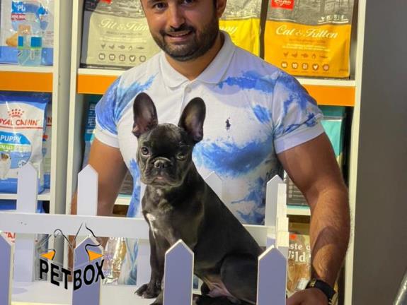 فروش توله ی فرنچ بولداگ 