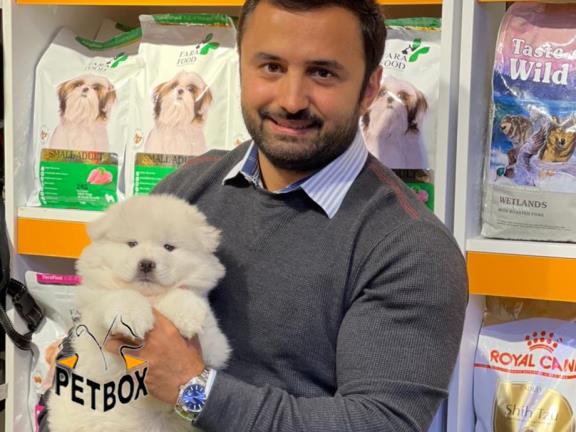 فروش توله های چاوسکی