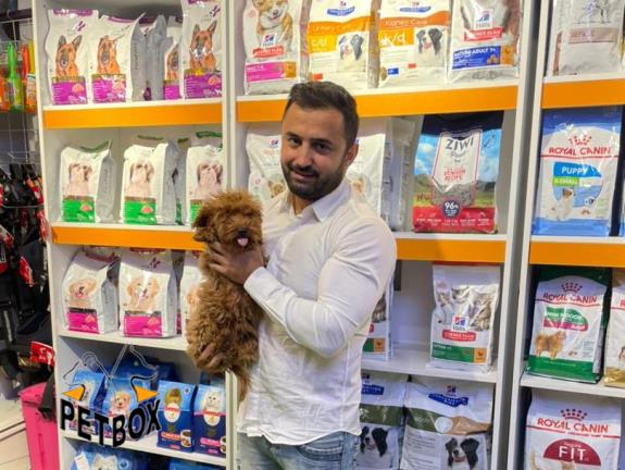 فروش توله های پودل مینیاتوری