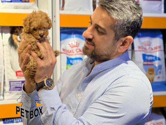 فروش توله های توی  پودل