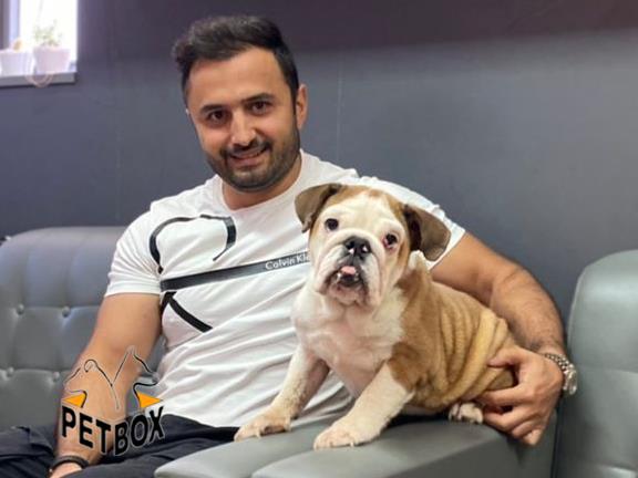 فروش توله ها انگلیش بوداگ