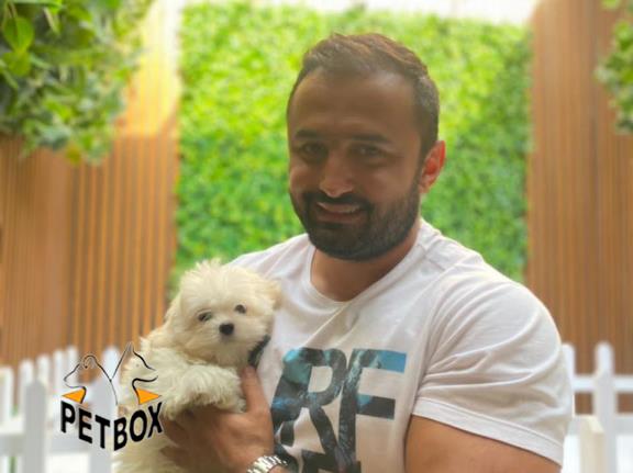فروش توله های مالتیز