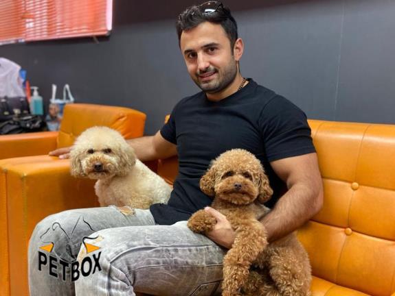 فروش توله ی توی پودل