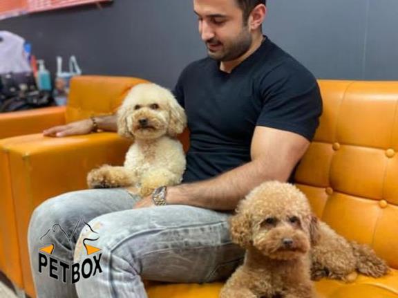 فروش توی پودل