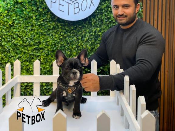 فروش توله ی فرنچ بولداگ 