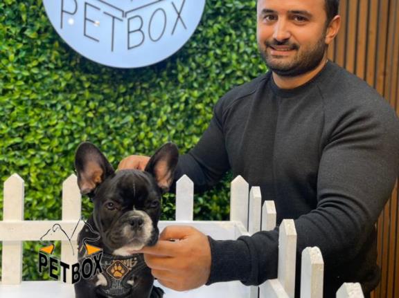 فروش توله های فرنچ بولداگ 