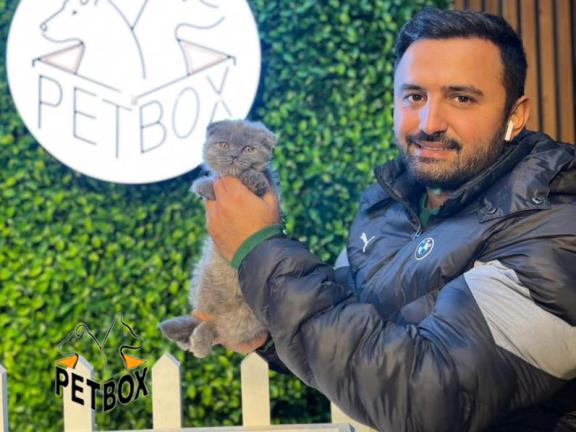 فروش گربه های اسکاتیش