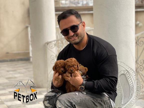 فروش توی پودل کد 1