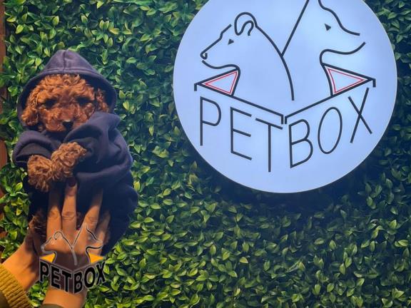 فروش توی پودل کد 2