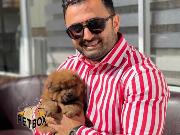 فروش توله های چاوچاو