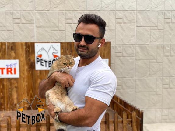 فروش گربه های اسکاتیش