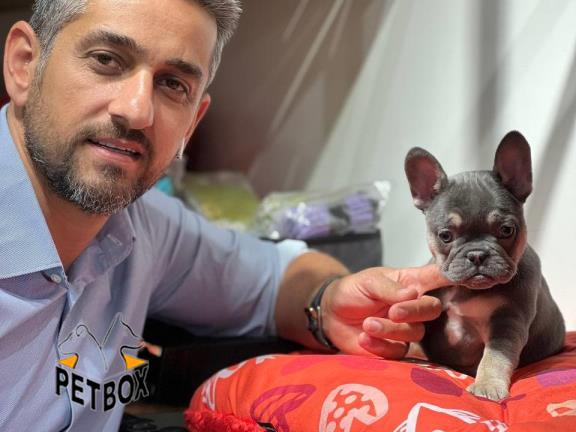 فروش فرنچ بولداگ وارداتی کد 7