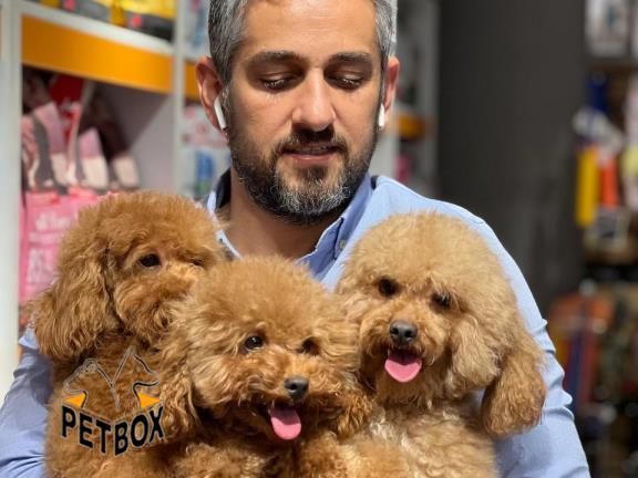 فروش توی پودل کد 7