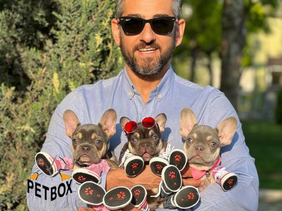 فرنچ بواداگ های جذاب پتباکس 