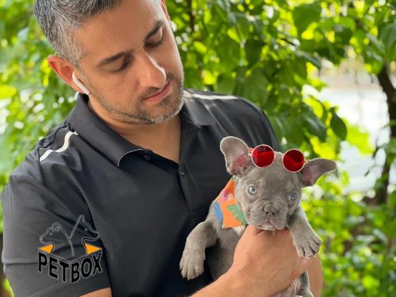 فروش توله ی فرنچ بولداگ کد 5