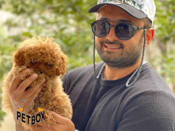 فروش توی پودل کد 10