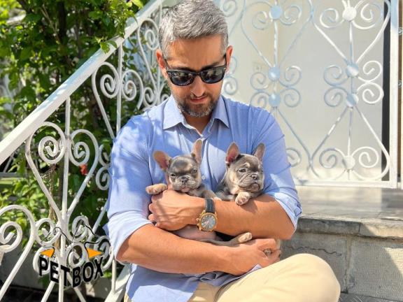 فروش توله ی فرنچ بواداگ کد 8