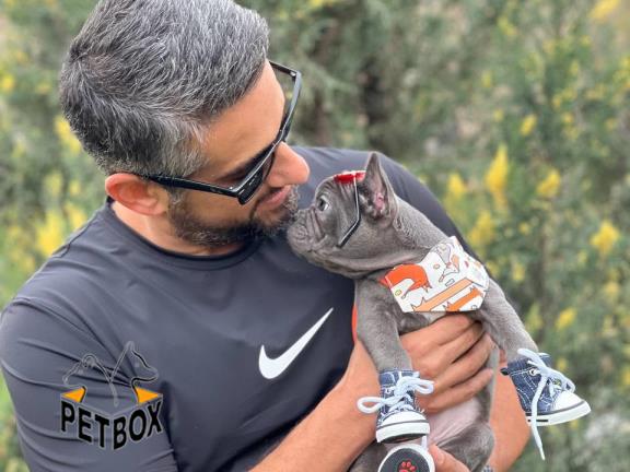 فروش فرنچ بولداگ های جذاب