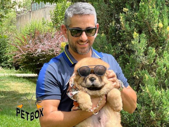 فروش توله ی چاوچاو کد 8