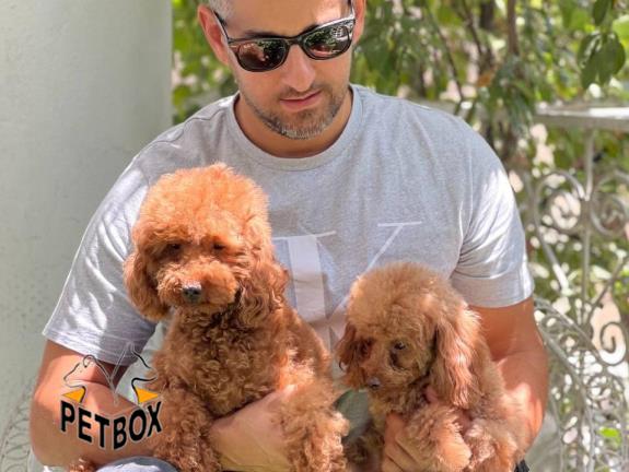 فروش توی پودل کد 13