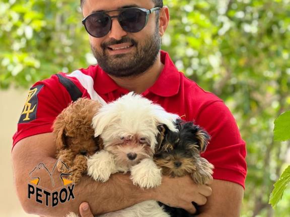 فروش نژاد های آپارتمانی