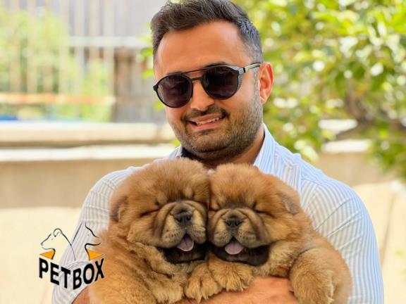 فروش توله های چاوچاو وارداتی از مسکو