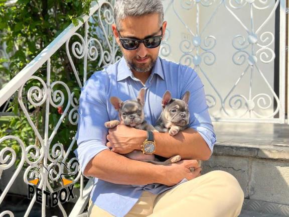 فروش توله های فرنچ بولداگ  