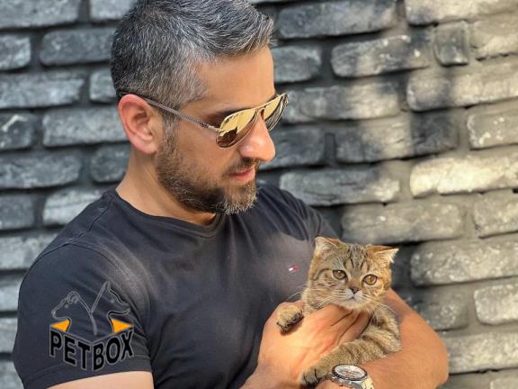 حراج ویژه ی گربه های اسکاتیش