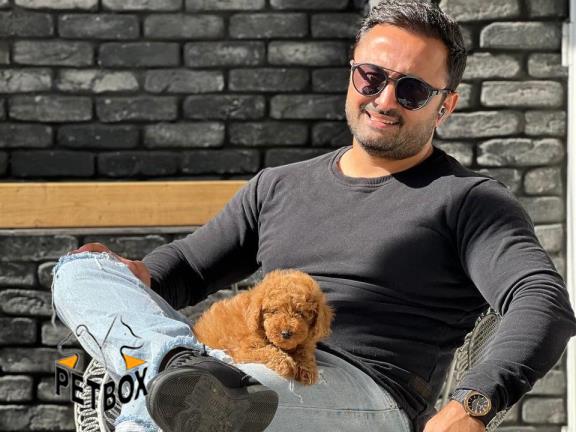 فروش توله های توی پودل