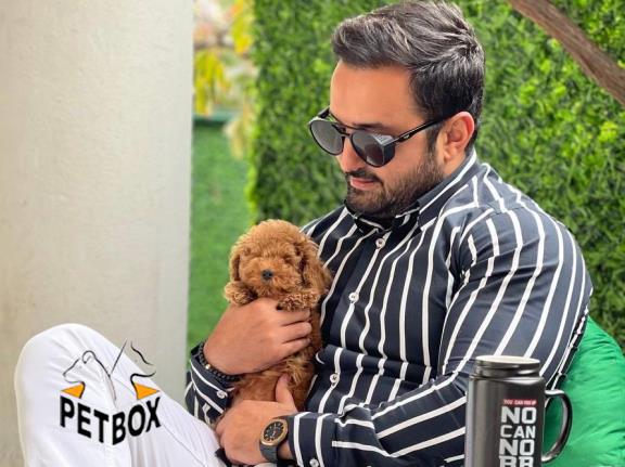 فروش پودل وارداتی