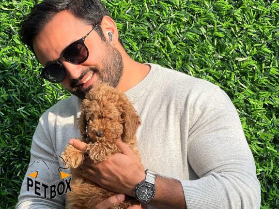 فروش توله های توی پودل