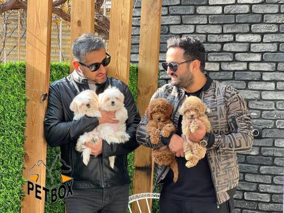 فروش نژاد های آپارتمانی